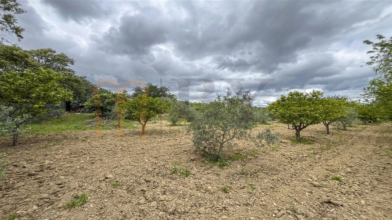 Quinta T5 para Venda em São Brás de Alportel Foto 36