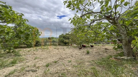 Quinta T5 para Venda em São Brás de Alportel
