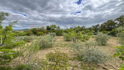 Quinta T5 para Venda em São Brás de Alportel