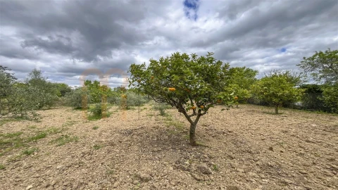 Quinta T5 para Venda em São Brás de Alportel