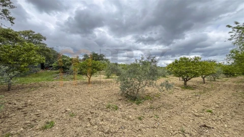 Quinta T5 para Venda em São Brás de Alportel