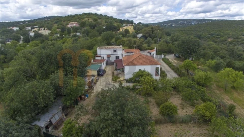 Quinta T5 para Venda em São Brás de Alportel