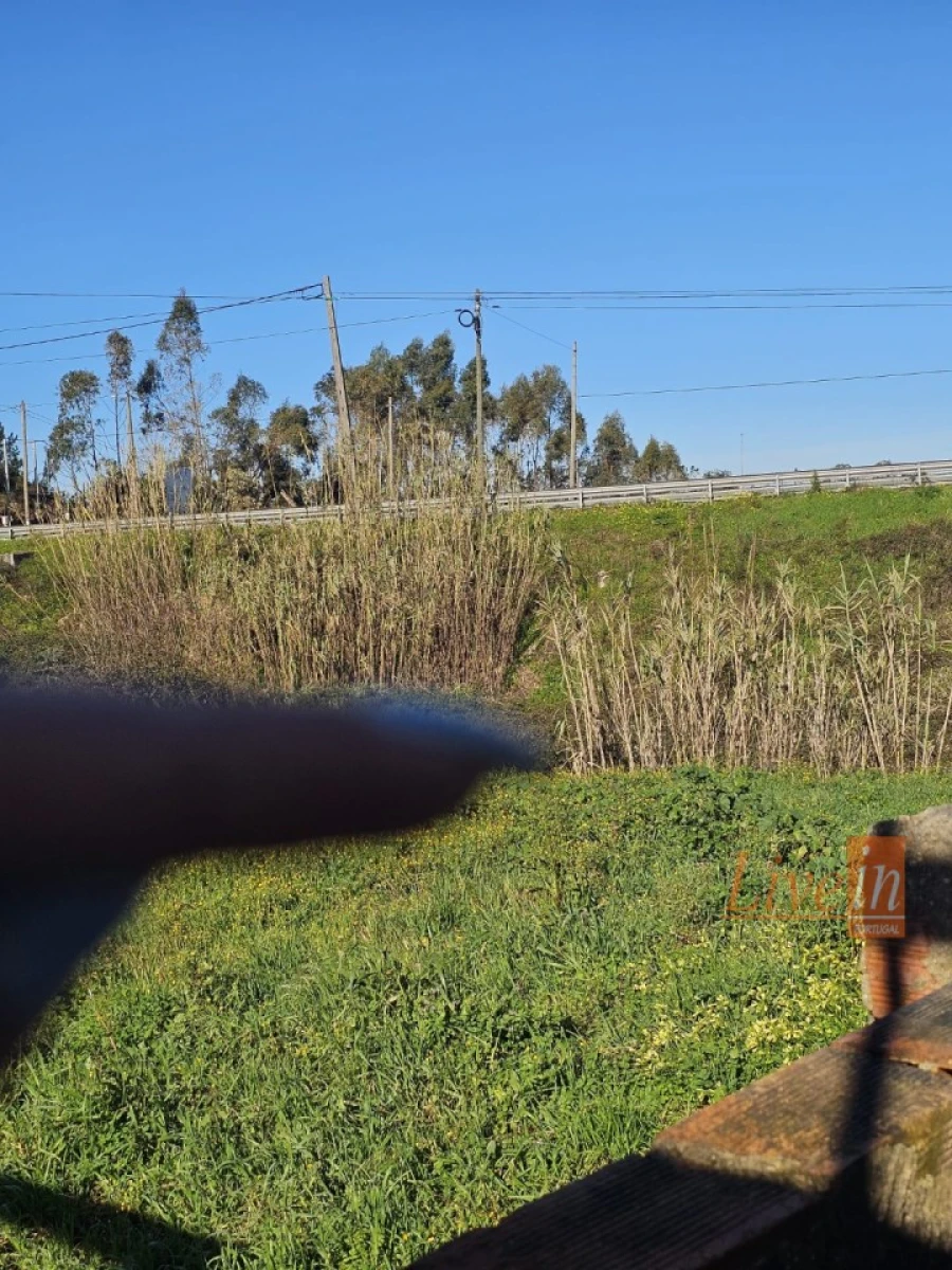 Moradia T2 para Venda em Santa Eufémia e Boa Vista Foto 4