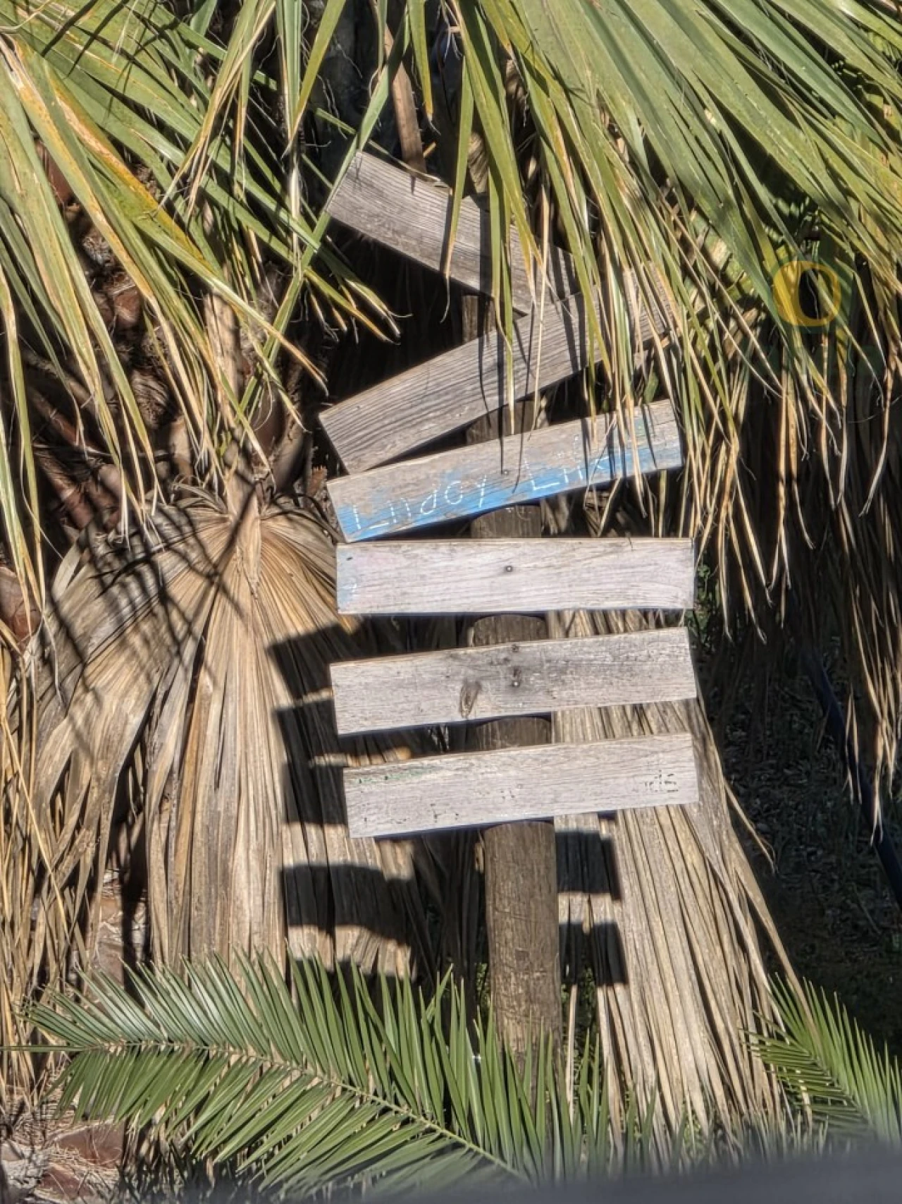 Quinta T7 para Venda em Pechão Foto 7