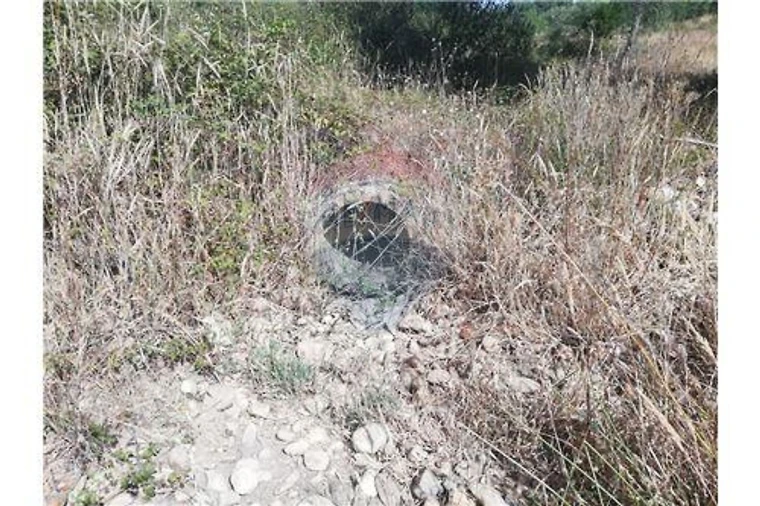 Terreno para Venda em Brogueira, Parceiros de Igreja e Alcorochel Foto 21