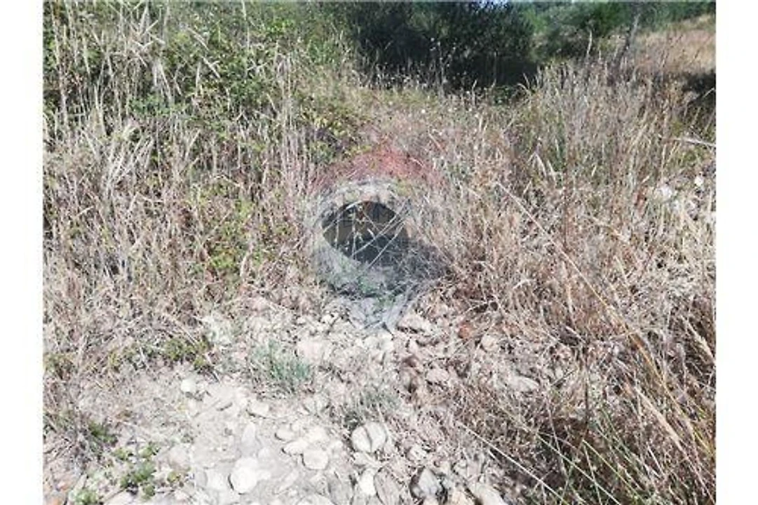 Terreno para Venda em Brogueira, Parceiros de Igreja e Alcorochel Foto 21