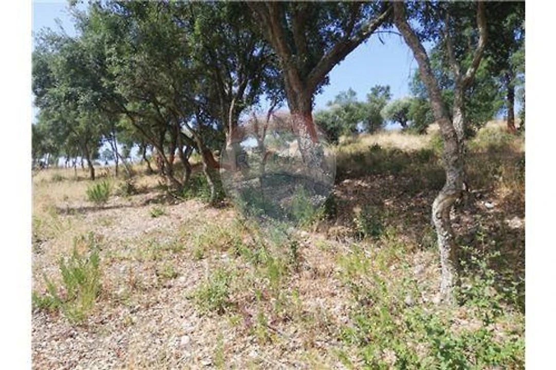 Terreno para Venda em Brogueira, Parceiros de Igreja e Alcorochel Foto 22