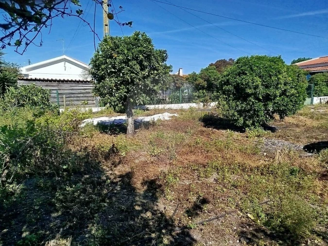 Moradia T2 para Venda em Vale da Pedra Foto 3