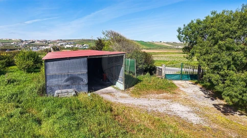 Terreno para Venda em São Pedro da Cadeira