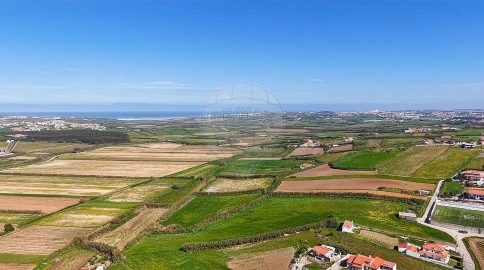Terreno para Venda em São Pedro da Cadeira