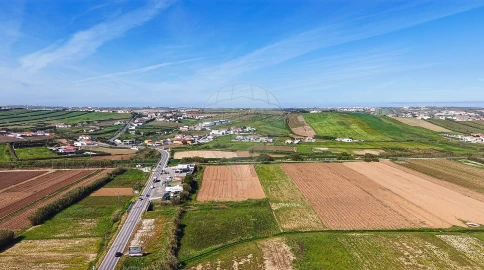 Terreno para Venda em São Pedro da Cadeira