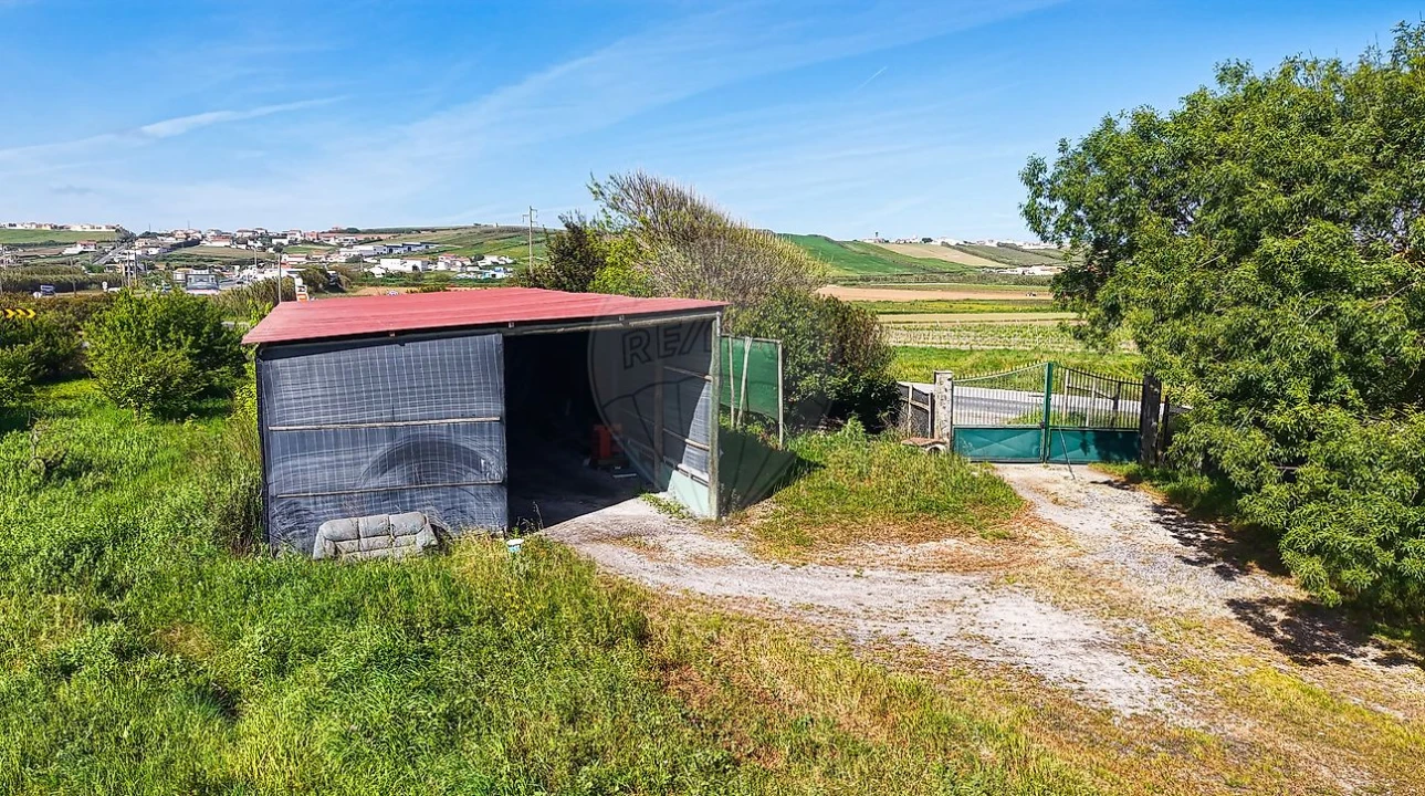 Terreno para Venda em São Pedro da Cadeira Foto 17