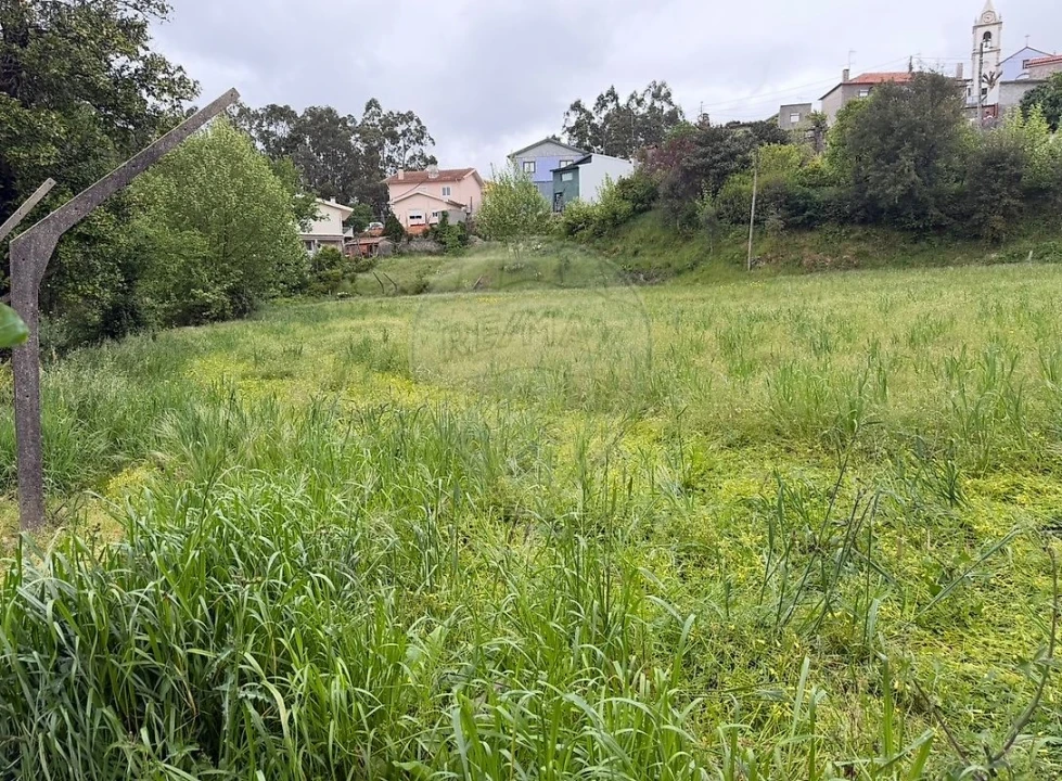 Terreno para Venda em Vila de Cucujães Foto 3