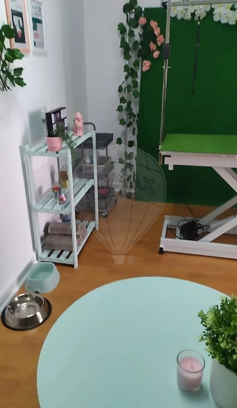 Negócio para Venda em Oeiras e São Julião da Barra, Paço de Arcos e Caxias