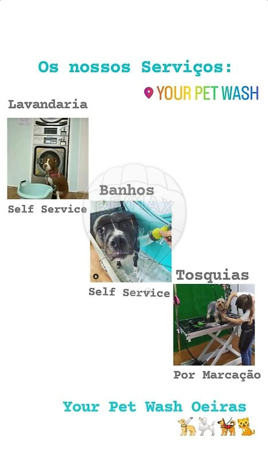 Negócio para Venda em Oeiras e São Julião da Barra, Paço de Arcos e Caxias Foto 9