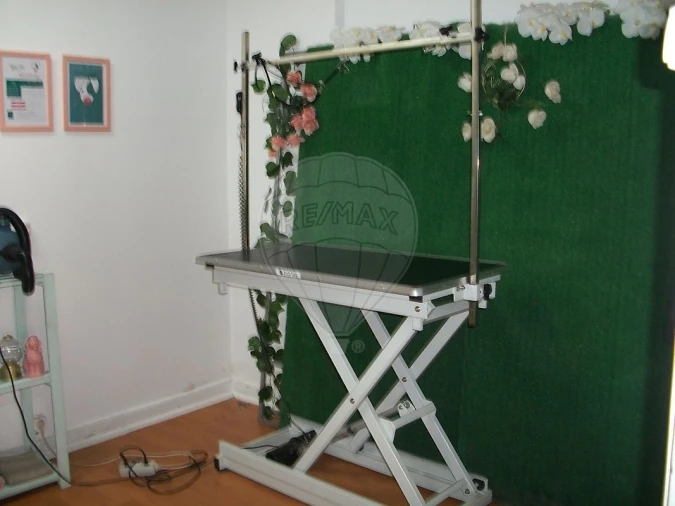 Negócio para Venda em Oeiras e São Julião da Barra, Paço de Arcos e Caxias Foto 7