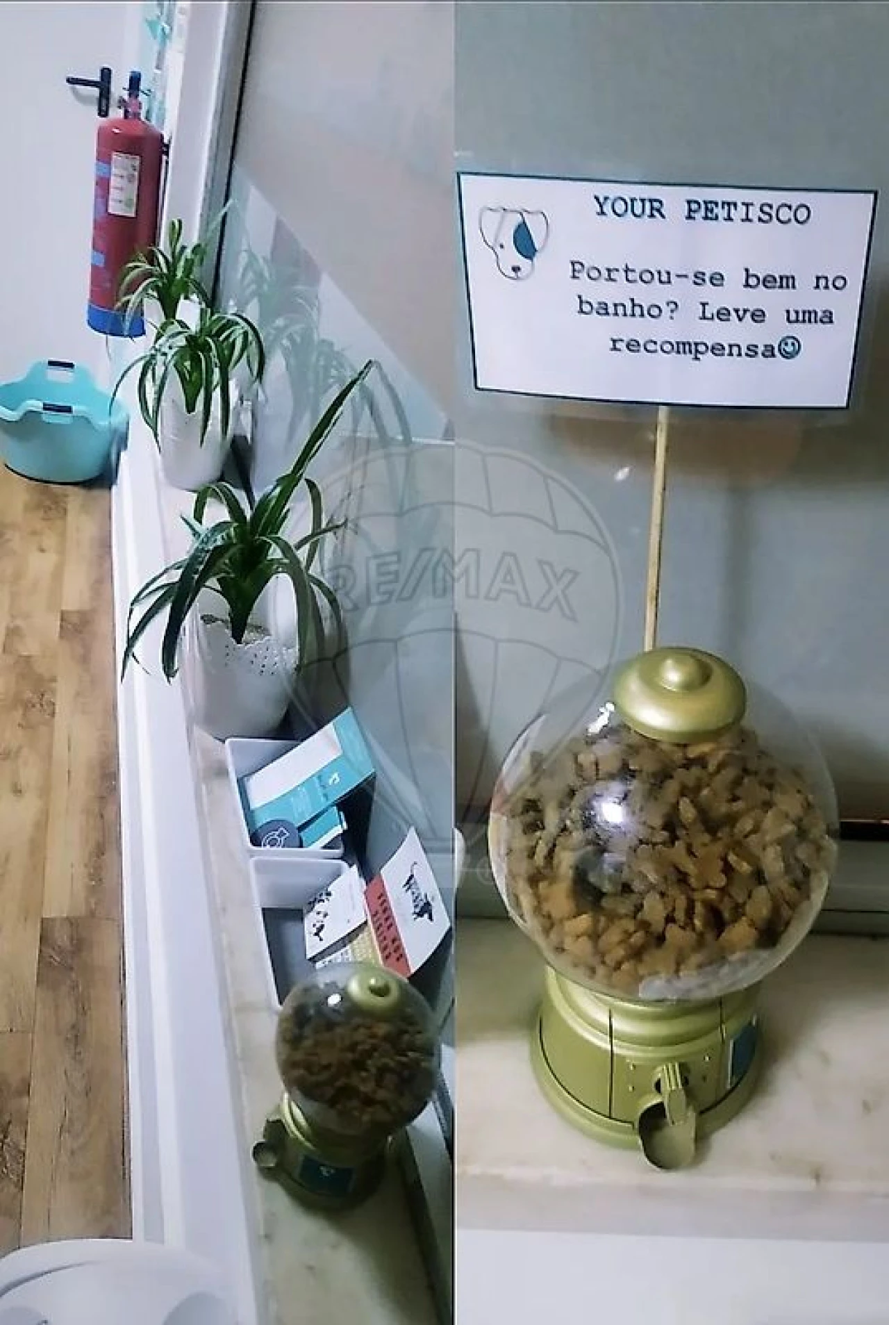 Negócio para Venda em Oeiras e São Julião da Barra, Paço de Arcos e Caxias Foto 14