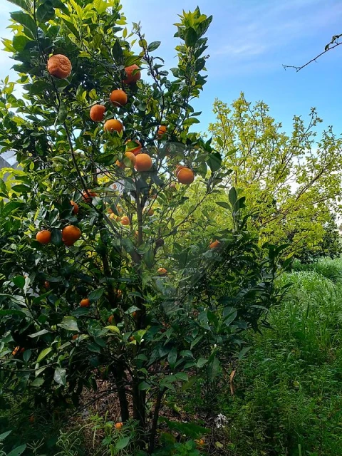Moradia T1 para Venda em Espinho