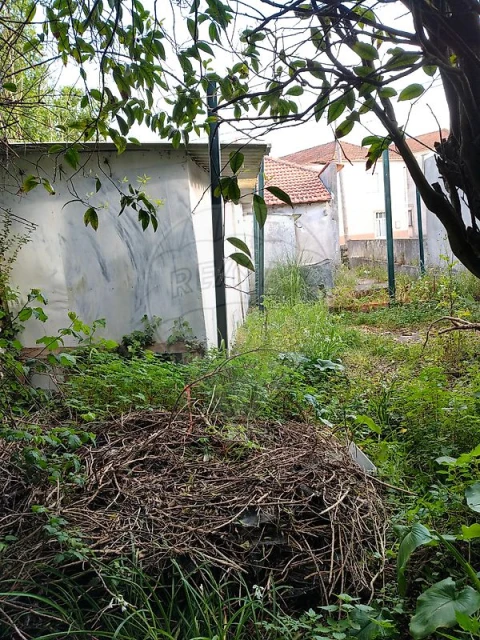 Moradia T1 para Venda em Espinho