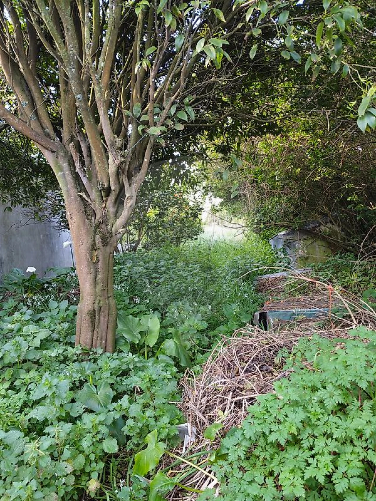 Moradia T1 para Venda em Espinho Foto 9