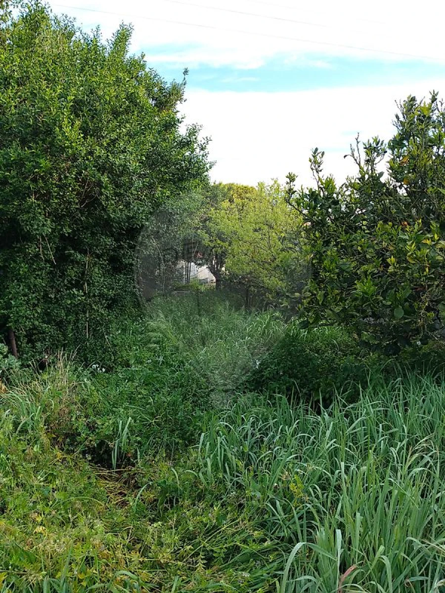 Moradia T1 para Venda em Espinho Foto 7