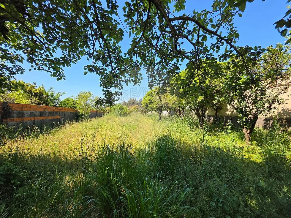 Moradia T2 para Venda em Oiã Foto 12