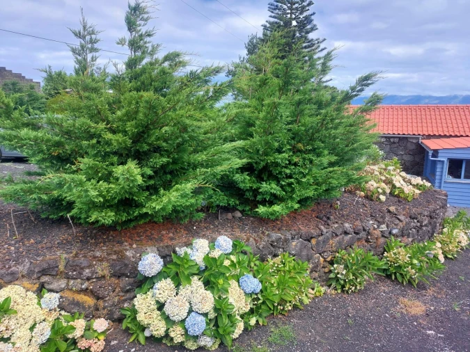 Moradia T3 para Venda em Ribeirinha Foto 30