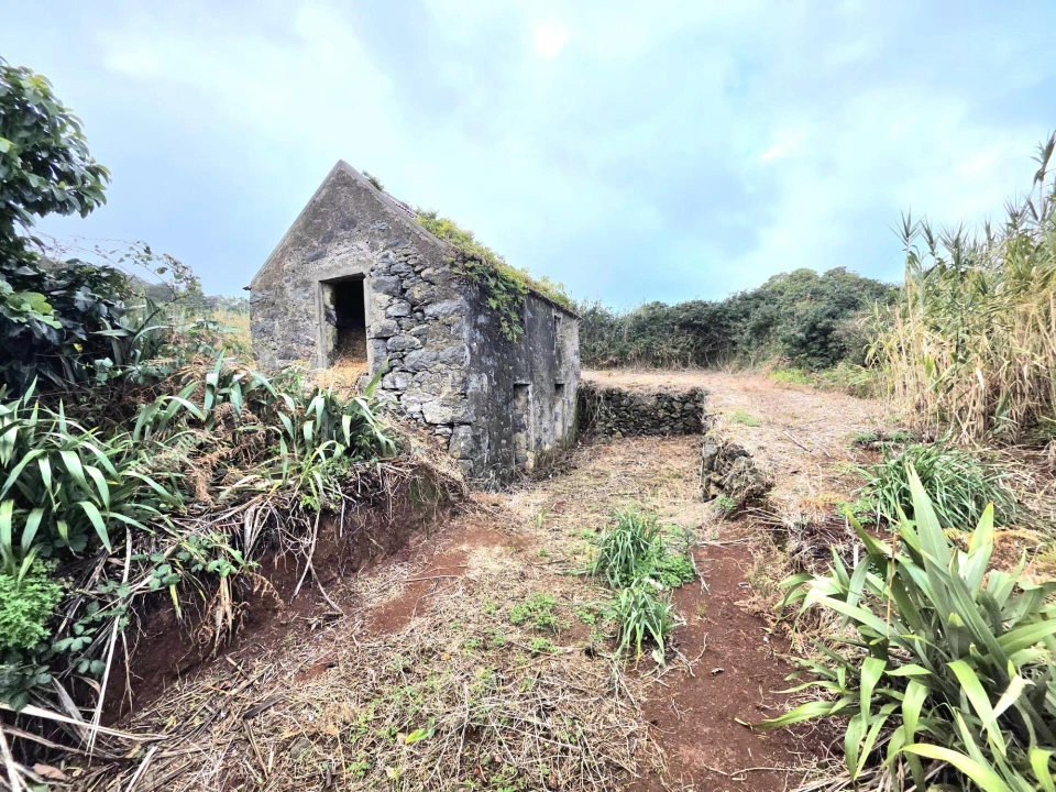 Terreno Agricola ou Rústico para Venda em Porto Moniz Foto 1