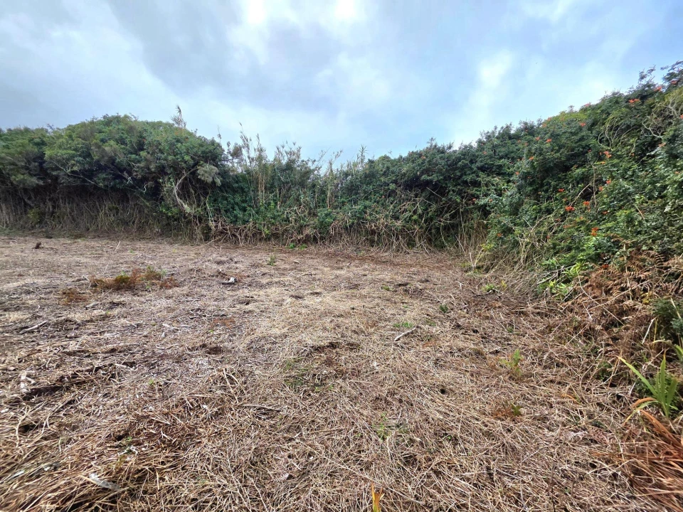 Terreno Agricola ou Rústico para Venda em Porto Moniz Foto 16