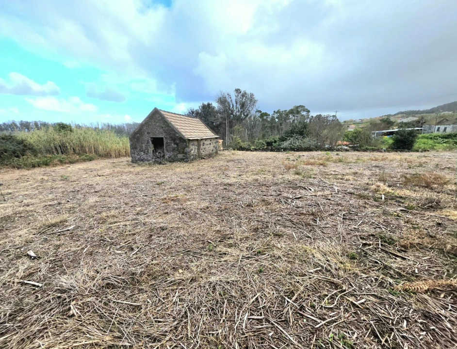 Terreno Agricola ou Rústico para Venda em Porto Moniz Foto 9