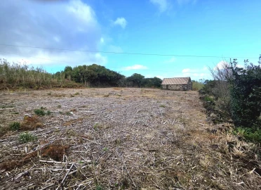Terreno Agricola ou Rústico para Venda em Porto Moniz