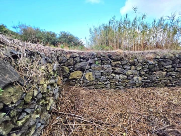 Terreno Agricola ou Rústico para Venda em Porto Moniz