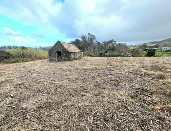 Terreno Agricola ou Rústico para Venda em Porto Moniz