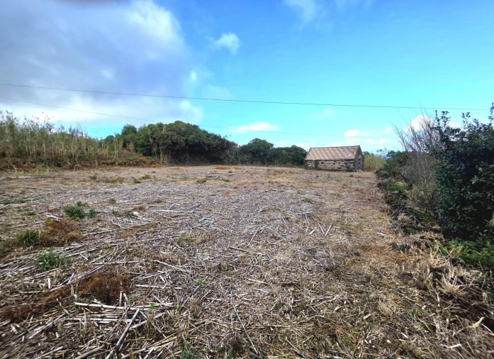 Terreno Agricola ou Rústico para Venda em Porto Moniz Foto 10