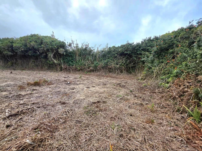 Terreno Agricola ou Rústico para Venda em Porto Moniz Foto 16
