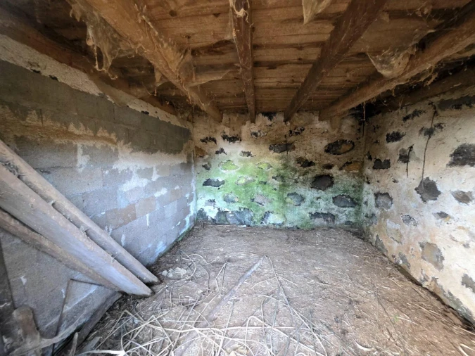Terreno Agricola ou Rústico para Venda em Porto Moniz Foto 17
