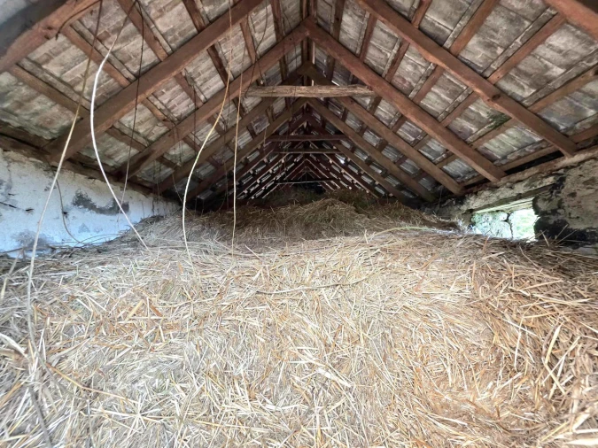Terreno Agricola ou Rústico para Venda em Porto Moniz Foto 18