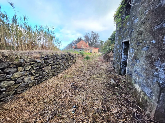 Terreno Agricola ou Rústico para Venda em Porto Moniz Foto 5