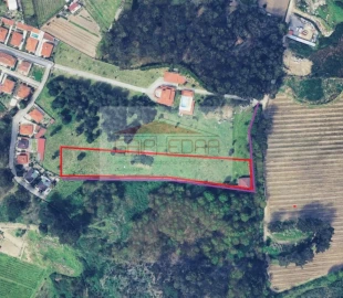 Terreno para Venda em Torno