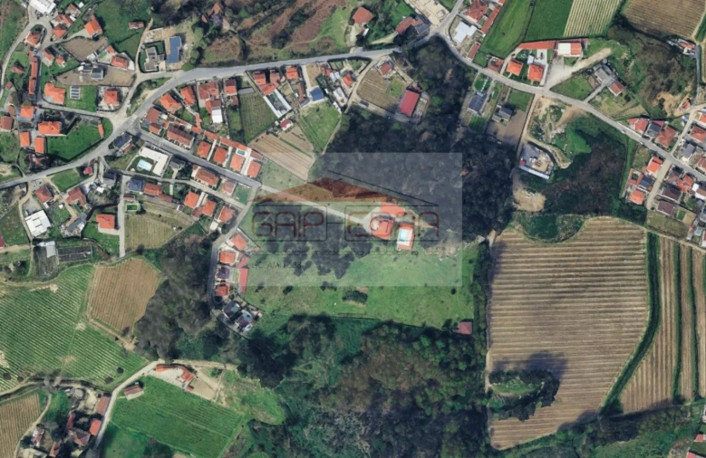 Terreno para Venda em Torno Foto 3