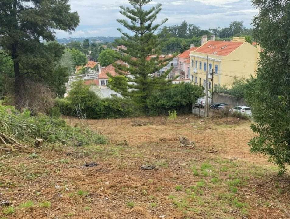 Terreno para Venda em Santa Maria e São Miguel, São Martinho, São Pedro Penaferrim Foto 3