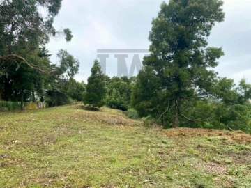 Terreno para Venda em Santa Maria e São Miguel, São Martinho, São Pedro Penaferrim