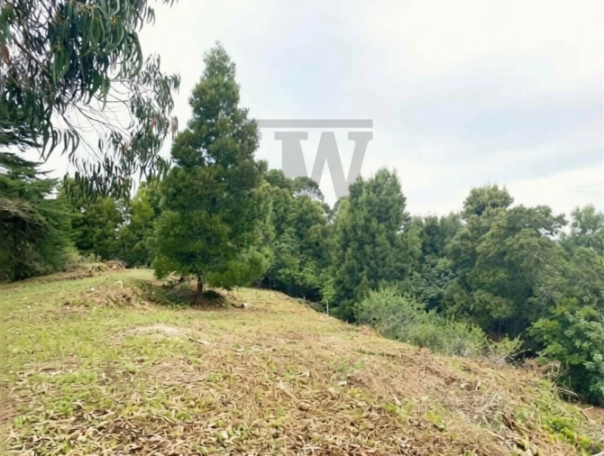 Terreno para Venda em Santa Maria e São Miguel, São Martinho, São Pedro Penaferrim