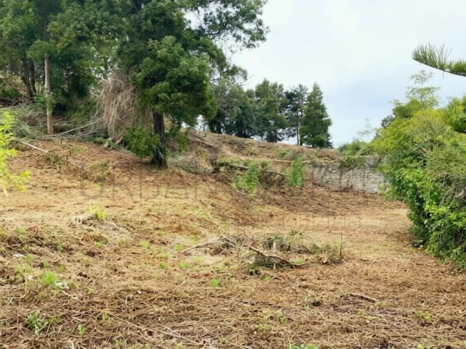 Terreno para Venda em Santa Maria e São Miguel, São Martinho, São Pedro Penaferrim Foto 2