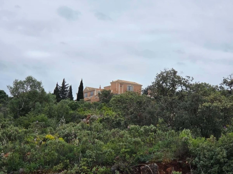 Moradia para Venda em Almancil Foto 4