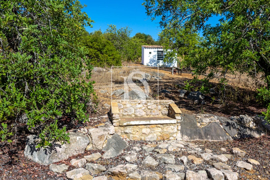 Quinta T10 para Venda em Cachopo Foto 23