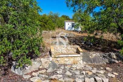 Quinta T10 para Venda em Cachopo