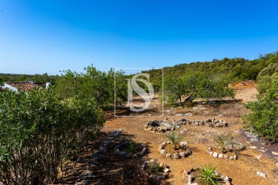 Quinta T10 para Venda em Cachopo