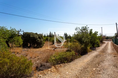 Quinta T10 para Venda em Cachopo