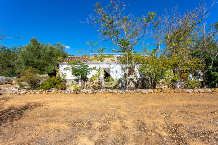 Quinta T10 para Venda em Cachopo Foto 15